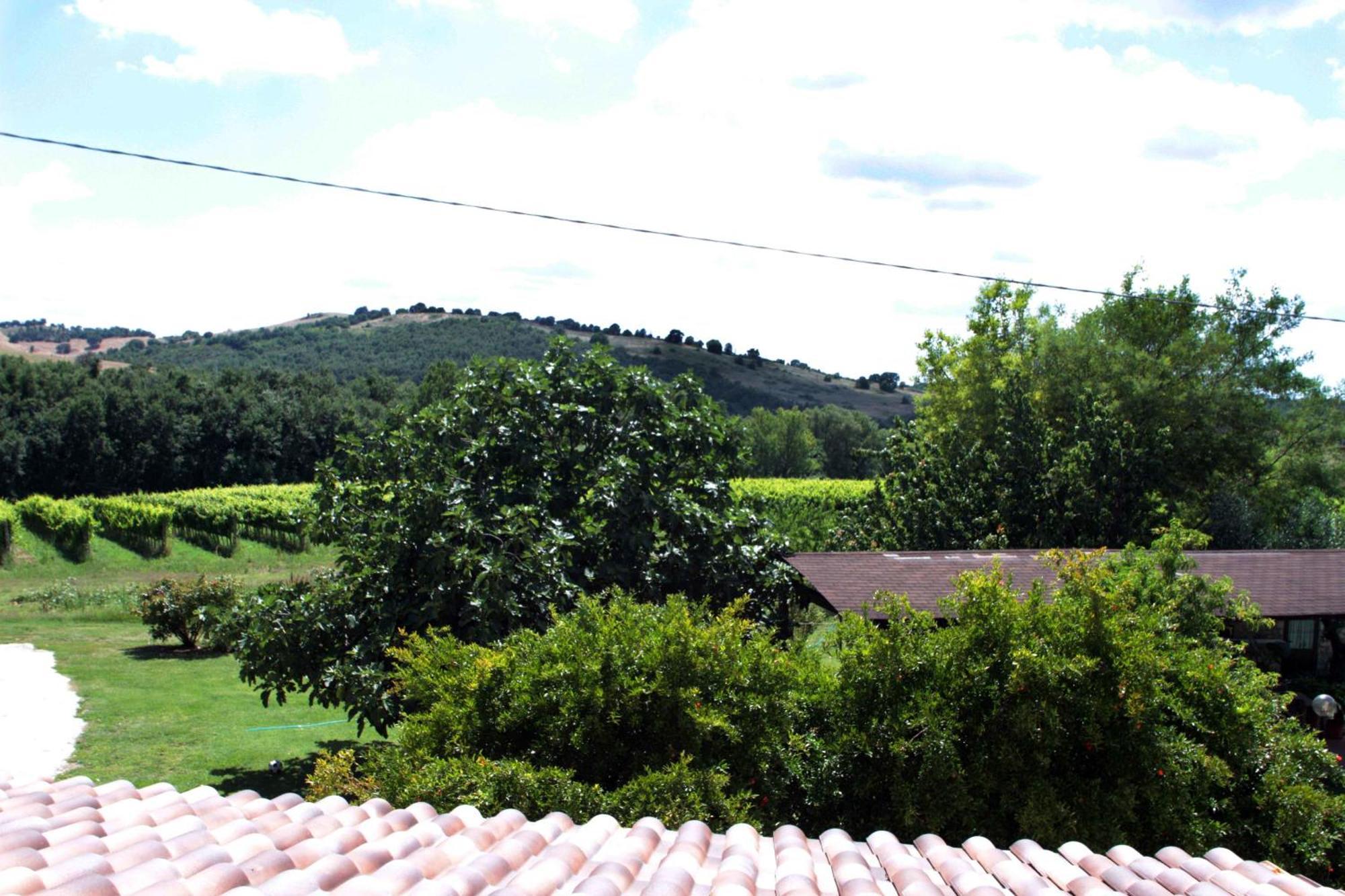 Agriturismo La Vecchia Quercia Montemerano Exterior foto
